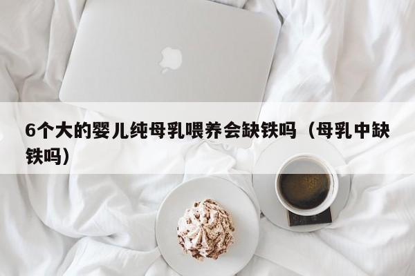 6个大的婴儿纯母乳喂养会缺铁吗（母乳中缺铁吗）