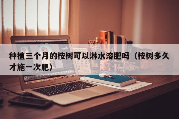 种植三个月的桉树可以淋水溶肥吗（桉树多久才施一次肥）