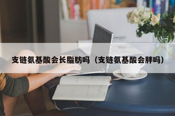 支链氨基酸会长脂肪吗（支链氨基酸会胖吗）