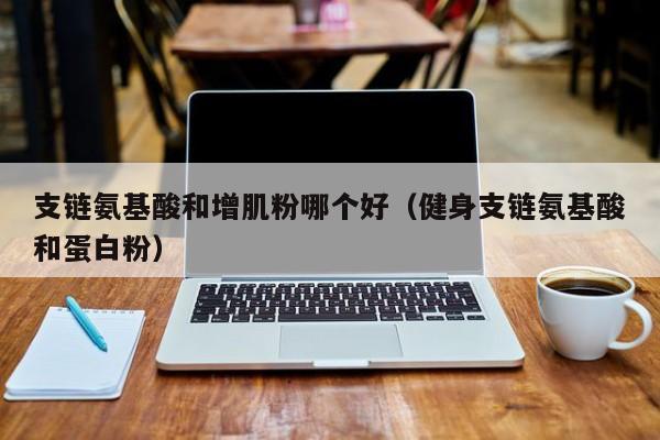 支链氨基酸和增肌粉哪个好（健身支链氨基酸和蛋白粉）
