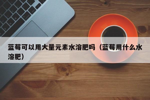 蓝莓可以用大量元素水溶肥吗（蓝莓用什么水溶肥）