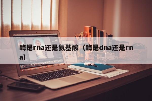 酶是rna还是氨基酸（酶是dna还是rna）