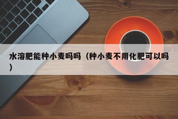 水溶肥能种小麦吗吗（种小麦不用化肥可以吗）