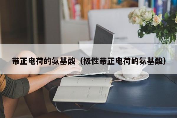 带正电荷的氨基酸（极性带正电荷的氨基酸）