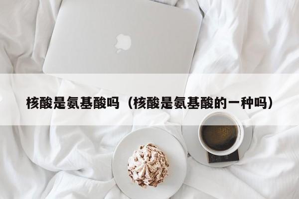 核酸是氨基酸吗（核酸是氨基酸的一种吗）
