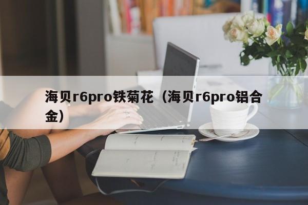 海贝r6pro铁菊花（海贝r6pro铝合金）