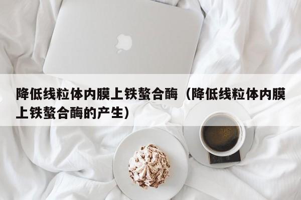 降低线粒体内膜上铁螯合酶（降低线粒体内膜上铁螯合酶的产生）
