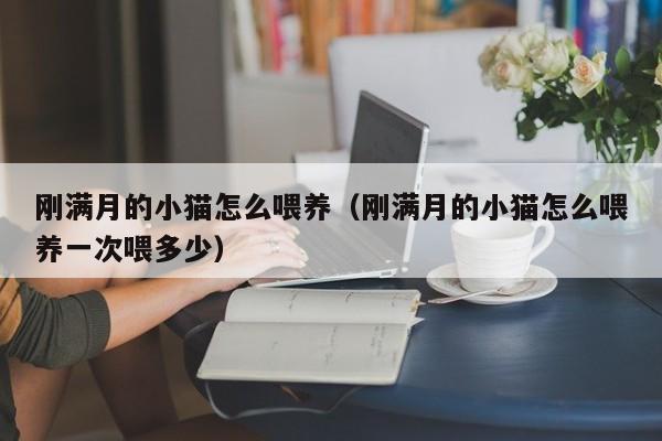 刚满月的小猫怎么喂养（刚满月的小猫怎么喂养一次喂多少）