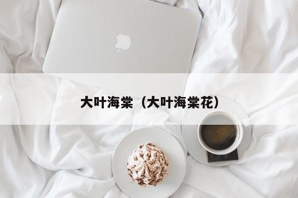 大叶海棠（大叶海棠花）
