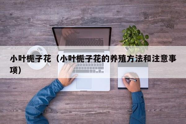 小叶栀子花（小叶栀子花的养殖方法和注意事项）