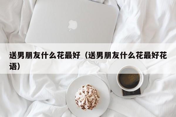 送男朋友什么花最好（送男朋友什么花最好花语）