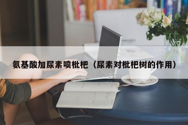 氨基酸加尿素喷枇杷（尿素对枇杷树的作用）