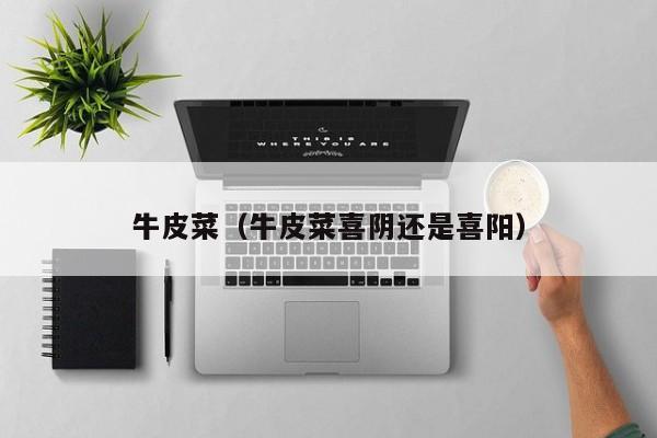 牛皮菜（牛皮菜喜阴还是喜阳）