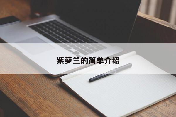 紫萝兰的简单介绍