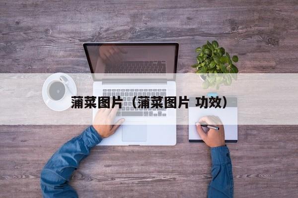 蒲菜图片（蒲菜图片 功效）