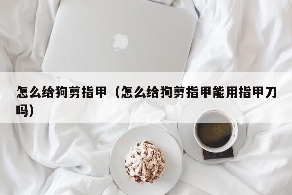 怎么给狗剪指甲（怎么给狗剪指甲能用指甲刀吗）