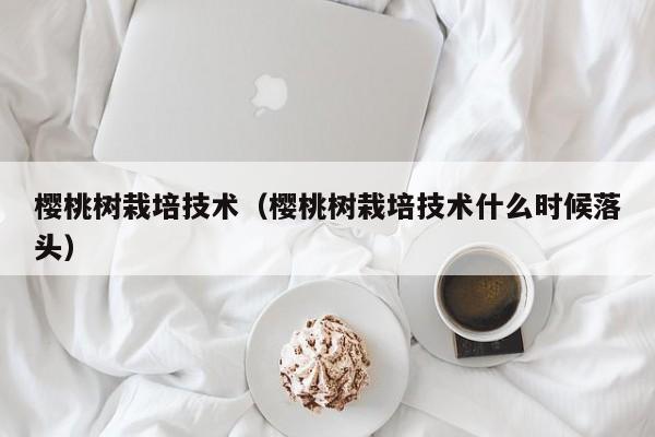 樱桃树栽培技术（樱桃树栽培技术什么时候落头）