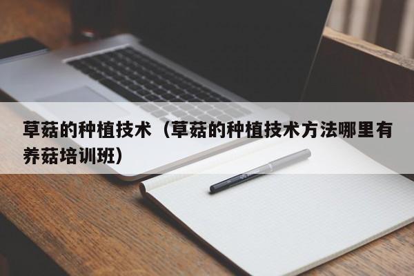 草菇的种植技术（草菇的种植技术方法哪里有养菇培训班）