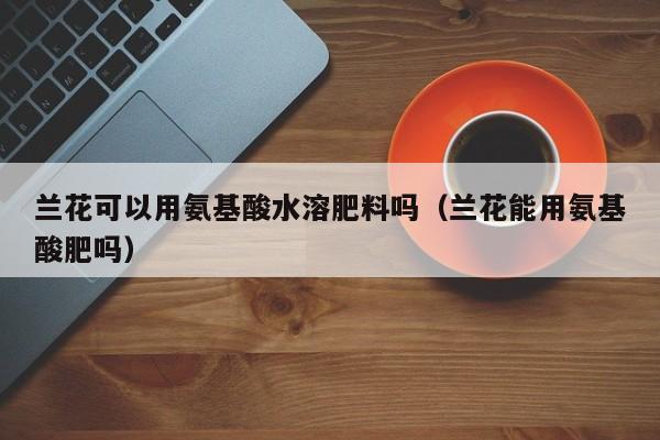 兰花可以用氨基酸水溶肥料吗（兰花能用氨基酸肥吗）