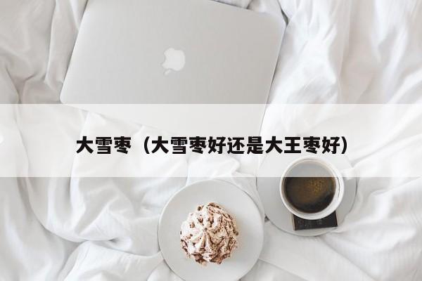 大雪枣（大雪枣好还是大王枣好）