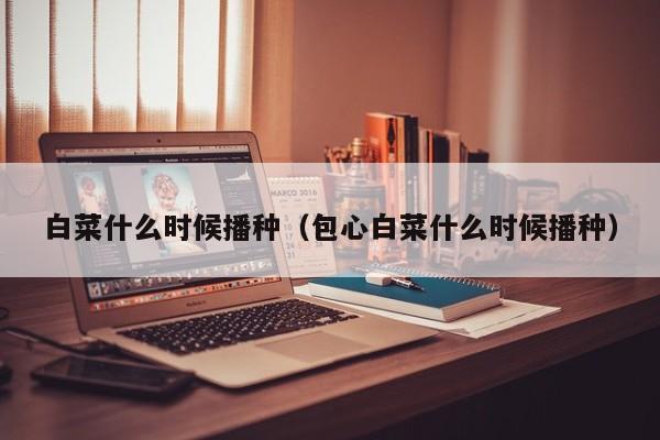 白菜什么时候播种（包心白菜什么时候播种）