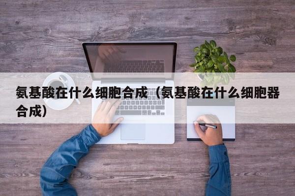 氨基酸在什么细胞合成（氨基酸在什么细胞器合成）