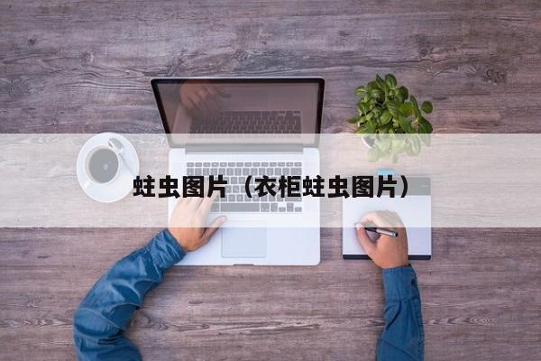 蛀虫图片（衣柜蛀虫图片）