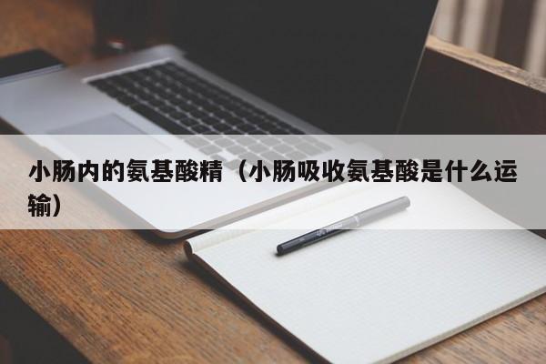 小肠内的氨基酸精（小肠吸收氨基酸是什么运输）