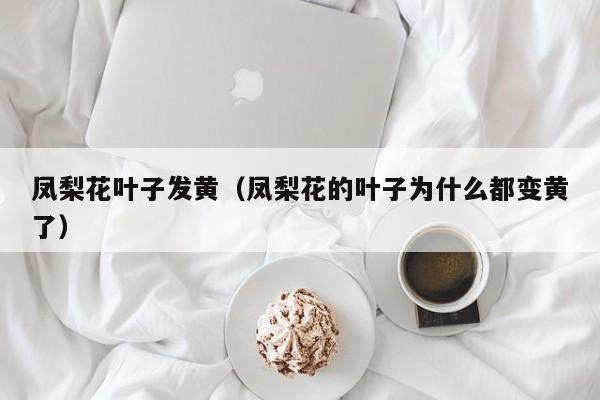 凤梨花叶子发黄（凤梨花的叶子为什么都变黄了）