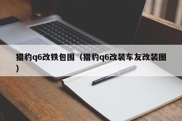 猎豹q6改铁包围（猎豹q6改装车友改装图）