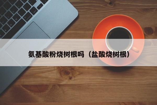 氨基酸粉烧树根吗（盐酸烧树根）