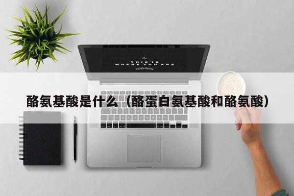 酪氨基酸是什么（酪蛋白氨基酸和酪氨酸）