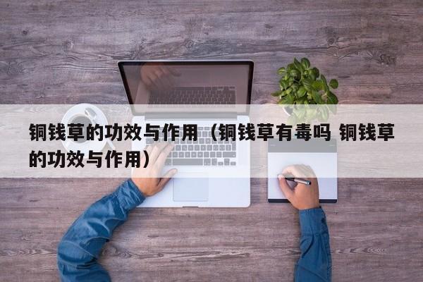 铜钱草的功效与作用（铜钱草有毒吗 铜钱草的功效与作用）