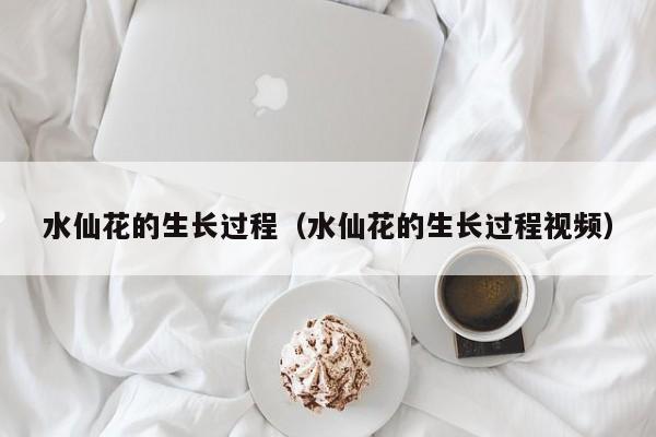 水仙花的生长过程（水仙花的生长过程视频）