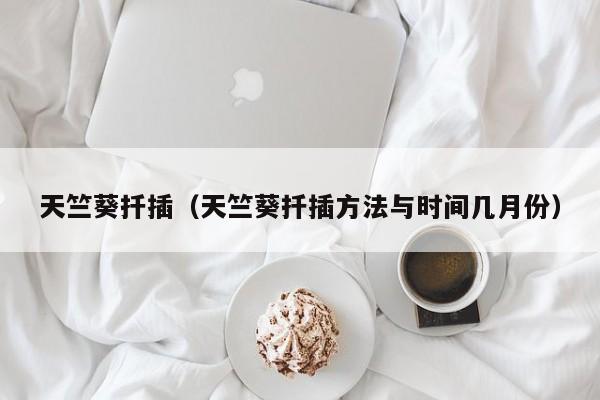 天竺葵扦插（天竺葵扦插方法与时间几月份）