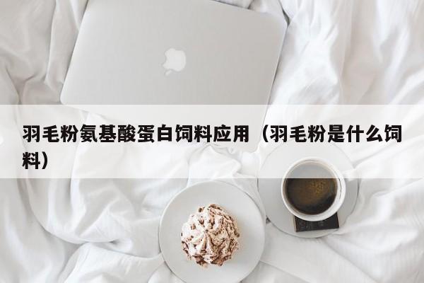 羽毛粉氨基酸蛋白饲料应用（羽毛粉是什么饲料）