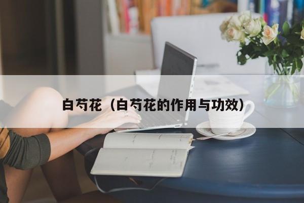 白芍花（白芍花的作用与功效）