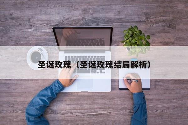 圣诞玫瑰（圣诞玫瑰结局解析）