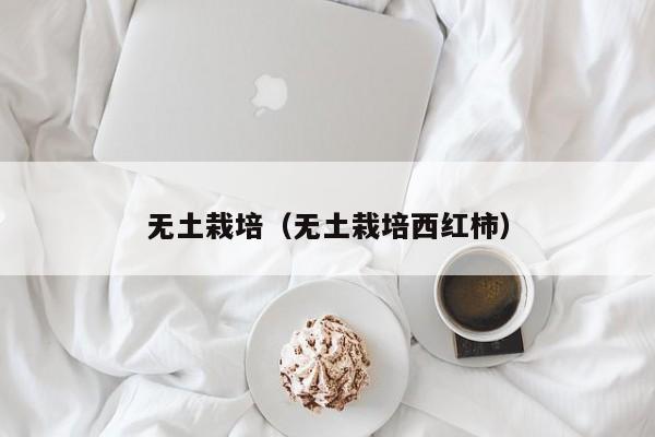 无土栽培（无土栽培西红柿）