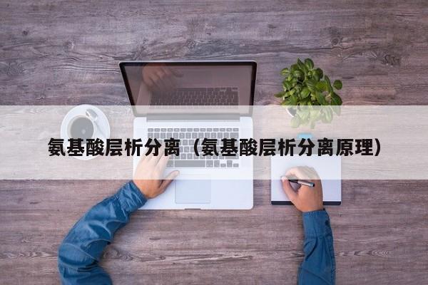 氨基酸层析分离（氨基酸层析分离原理）