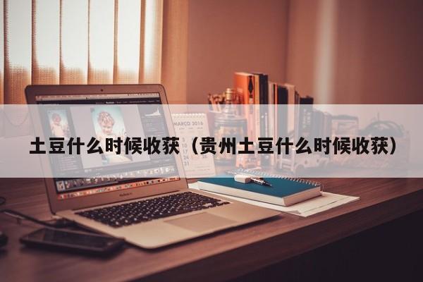 土豆什么时候收获（贵州土豆什么时候收获）