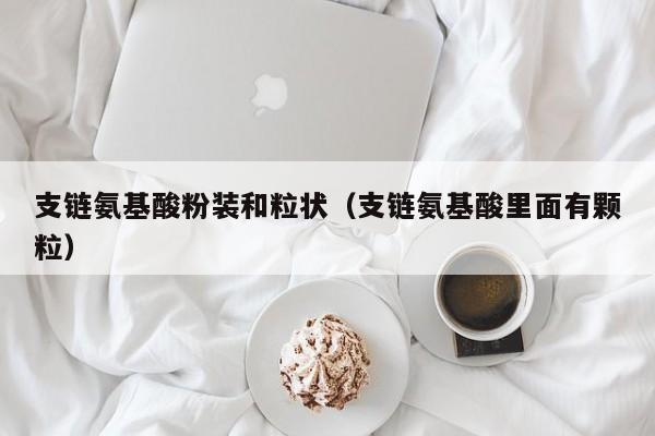 支链氨基酸粉装和粒状（支链氨基酸里面有颗粒）