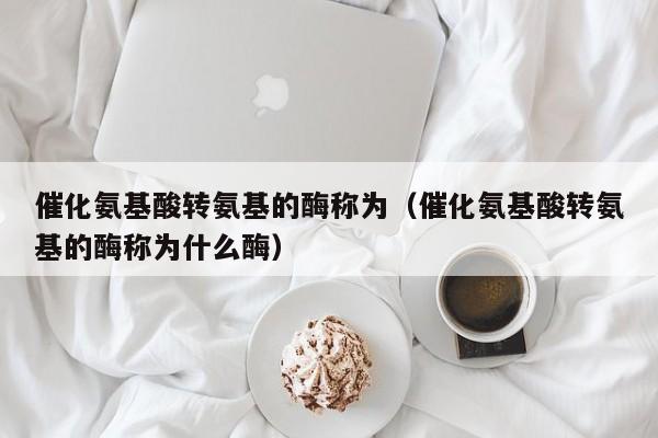 催化氨基酸转氨基的酶称为（催化氨基酸转氨基的酶称为什么酶）