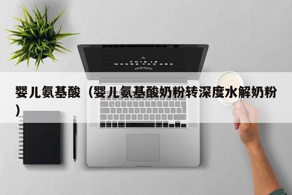 婴儿氨基酸（婴儿氨基酸奶粉转深度水解奶粉）