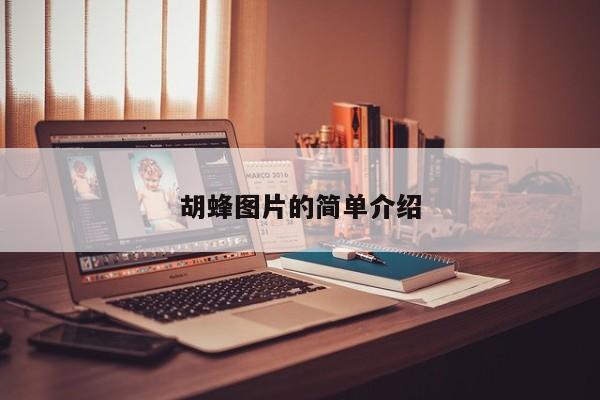 胡蜂图片的简单介绍