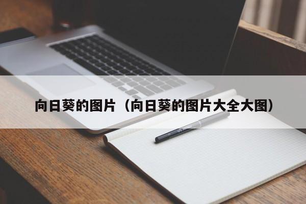 向日葵的图片（向日葵的图片大全大图）