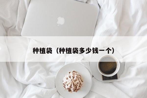 种植袋（种植袋多少钱一个）