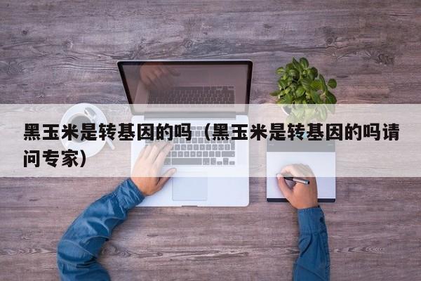 黑玉米是转基因的吗（黑玉米是转基因的吗请问专家）