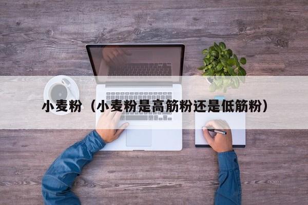 小麦粉（小麦粉是高筋粉还是低筋粉）