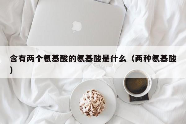 含有两个氨基酸的氨基酸是什么（两种氨基酸）